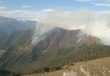 Montalto Carpasio, arrestato pluripregiudicato accusato di incendi dolosi: sospettato di aver causato numerosi roghi nella zona incendio monte faudo