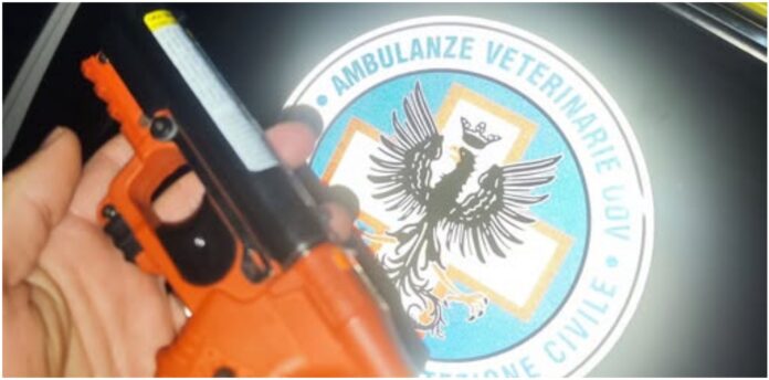 soccorso per aggressione tra cani