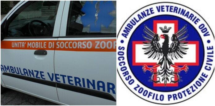 Ambulanze Veterinarie