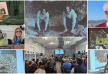 Giornata della Donna, a Cervo ‘Le sciasceline: raccoglitrici di olive tra lavoro ed emancipazione’ Sciasceline Cervo