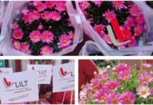 LILT, settimana nazionale per la Prevenzione Oncologica: le iniziative della sede provinciale tra progetti e supporti