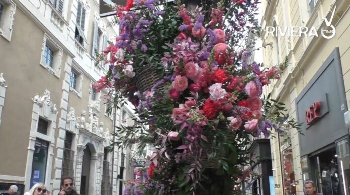 festival dei fiori sanremo