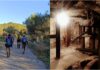 Villa Faraldi, domenica 25 ottobre la “Camminata tra gli Olivi” lungo la via dei Gumbi vie dei gumbi