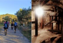 Villa Faraldi, domenica 25 ottobre la “Camminata tra gli Olivi” lungo la via dei Gumbi vie dei gumbi