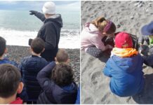 Tornano le uscite didattiche di “Bordighera Blu Park”: 3 giorni all’insegna della biodiversità marina