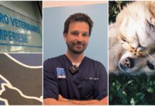 Centro Veterinario Imperiese riaperto anche nel weekend in orario notturno. “Finalmente un’assistenza continua in provincia” Centro Veterinario Imperiese