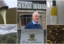 Cesio: ‘l’oro bianco’ de ‘Il Cascin’, eccezionalità nell’eccellenza. “Ecco il Biancardo, l’olio color latte della raccolta tardiva primaverile” Biancardo Il Cascin