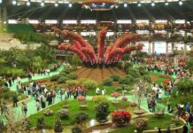 A Euroflora 2025 un borgo ligure con 20mila fiori firmato Amaie Energia e Mercato dei Fiori di Sanremo euroflora