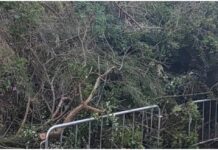 Ventimiglia, frana in zona Latte: iniziati oggi i lavori di messa in sicurezza