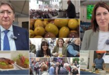Taggia, successo per la 12esima edizione di ‘Meditaggiasca & Expo Valle Argentina Armea’: show cooking, scuole e territorio protagonisti bilancio meditaggiasca 2025