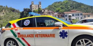 Diano Marina, attiva l’ambulanza veterinaria: primo soccorso h24 per gli animali da compagnia Ambulanze veterinarie