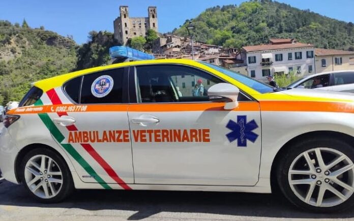 Ambulanze veterinarie