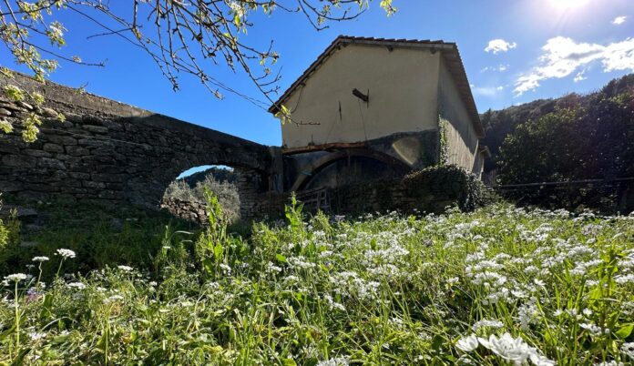 mulino