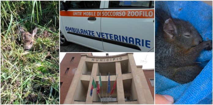 convenzione Ambulanze Veterinarie Ventimiglia