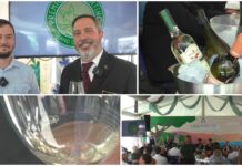 Premio Vermentino di Diano Castello: un’anteprima della 32esima edizione dell’evento all’ultima edizione di Aromatica anteprima premio vermentino
