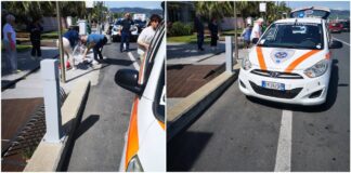 Ambulanze Veterinarie in azione a Diano Marina: già quattro interventi in pochi giorni Ambulanze veterinarie Diano