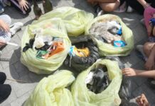 Camporosso, bambini protagonisti nella pulizia della spiaggia Oasi del Nervia: raccolti chili di rifiuti