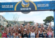Sanremo, cambio di percorso per la “Run For The Whales”: si partirà dal campo di atletica