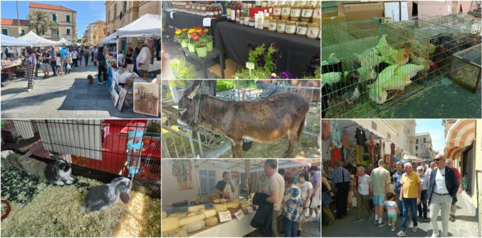 fiera bussana