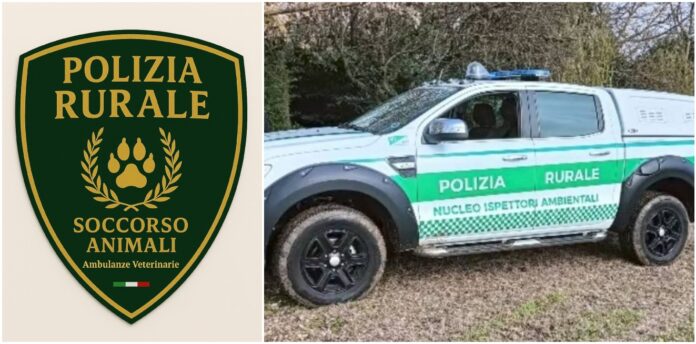 Ambulanze Veterinarie Ospedaletti
