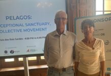 Il consigliere sanremese Mascelli presente a Nizza per il futuro del Santuario Pelagos