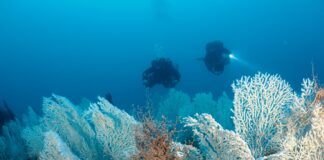 Bordighera, annullato il laboratorio musicale per bambini del 23 luglio: spazio alla conferenza “Bordighera Blu Park” Bordighera Blu Park fondali