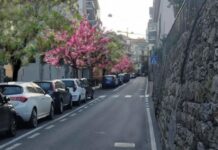 Imperia, affidati i lavori di riqualificazione urbana in via Pirinoli Lotto 1. Assessore D’Agostino: “Visione di città che non lascia indietro nessuno” Via Pirinoli imperia