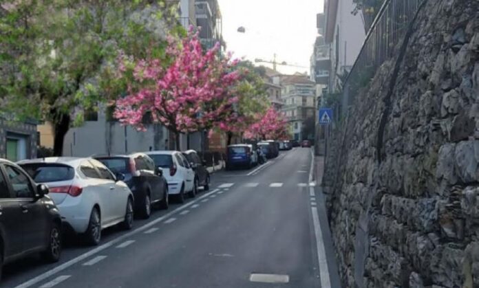 Via Pirinoli imperia