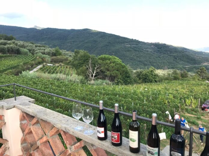 Ranzo-is-Wine-il-panorama-1024x768