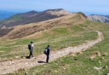 Parco Alpi Liguri, in arrivo oltre 68mila euro per la valorizzazione della rete sentieristica parco alpi liguri