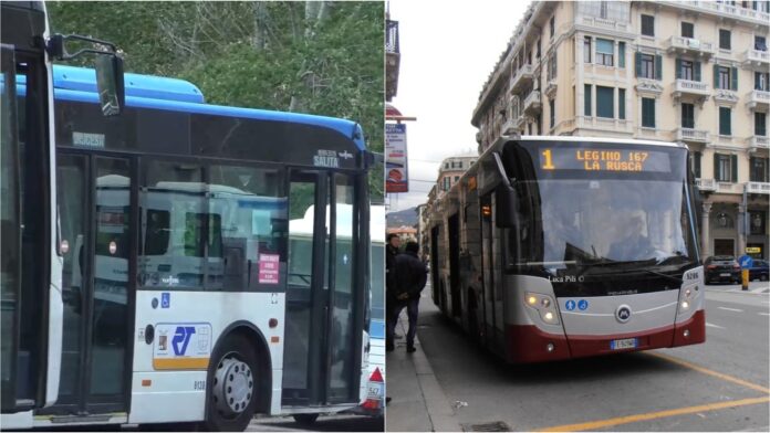 rt e tpl linea