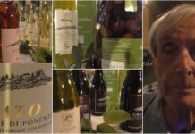 Olio taggiasco e vini d’eccellenza: “Il Cascin” porta il gusto della Liguria a Expo Valle Arroscia azienda agricola il cascin - expo valle arroscia