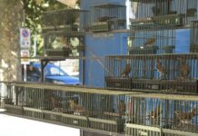 Diano Marina, domani apre la 71esima mostra venatoria mercato