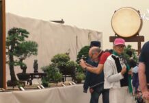 Imperia, al via il 19 settembre la seconda edizione del Festival del Bonsai e delle Arti Giapponesi festival bonsai imperia