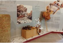 Diano Marina, tornano le Giornate Europee del Patrimonio: il Museo Civico Lucus Bormani mette al centro la Via Iulia Augusta