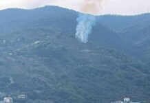 Sanremo, incendio boschivo a Gozo Superiore: intervento dei Vigili del Fuoco incendio sanremo