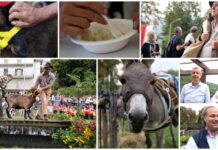 Ritorna il Palio delle Capre di Mendatica: una gara divertente tra montagna, cucina bianca e tradizione mendatica palio delle capre