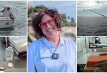 Dal campionamento ai dati online: come funziona il monitoraggio di Arpal? Monitoraggio Arpal