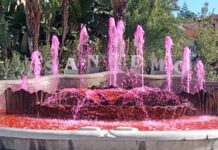 Sanremo illumina la fontana e la Torre Saracena di rosa per la prevenzione del tumore al seno zampillo sanremo lilt