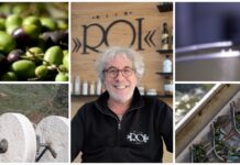 Olivicoltura ligure, 2025 annata di scarica per la Taggiasca. Franco Boeri (Olio Roi): “Clima e mosca olearia hanno pesato, ma chi ha guardato avanti ha messo il prodotto in casa” Annata 2025 Olio Roi