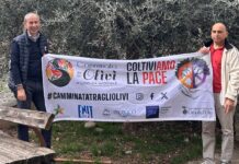 Taggia celebra la “Camminata tra gli Olivi” tra natura, storia e cultura nel segno della pace