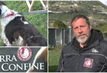 I comportamenti del cane: dietro le quinte dell’educazione e del recupero cinofilo con Terre di Confine