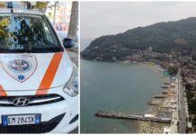 Golfo Dianese, ferma l’ambulanza veterinaria. L’appello: “Insieme possiamo rimettere in strada un mezzo che salva vite” mezzo ambulanza veterinaria