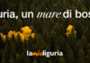 “Liguria, un mare di boschi”: la nuova campagna regionale celebra l’entroterra e il turismo lento