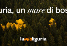 “Liguria, un mare di boschi”: la nuova campagna regionale celebra l’entroterra e il turismo lento