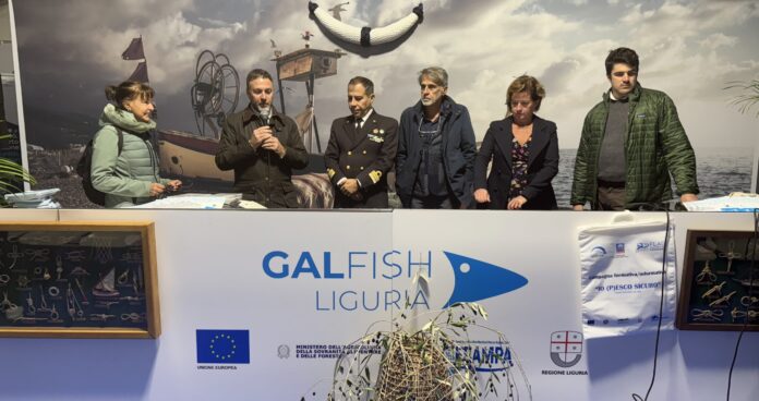 gal fish liguria gal fish liguria