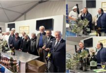 Olioliva 2025, gli studenti del Ruffini di Taggia protagonisti con il loro racconto del territorio attraverso il gusto