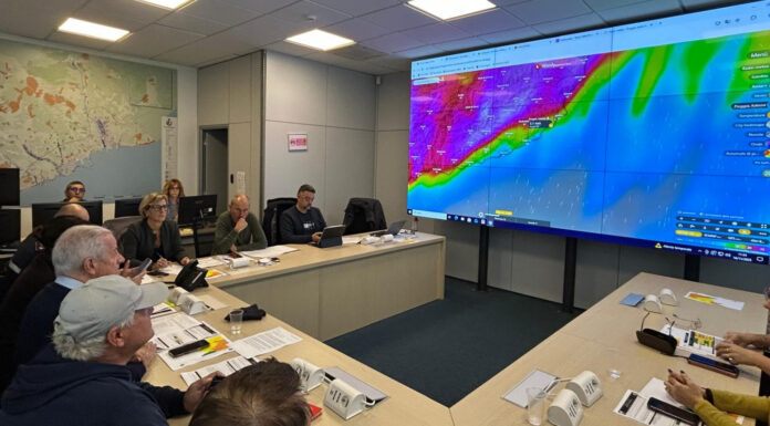 whatsapp_image_2025-11-16_at_11_35_23