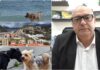 Vallecrosia a portata di amico a quattro zampe, sindaco Perri: “In arrivo una nuova area cani dietro il Conad” vallecrosia area cani Perri