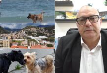 Vallecrosia a portata di amico a quattro zampe, sindaco Perri: “In arrivo una nuova area cani dietro il Conad” vallecrosia area cani Perri